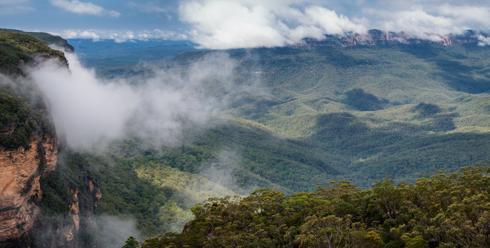 BLUE MOUNTAINS NSW