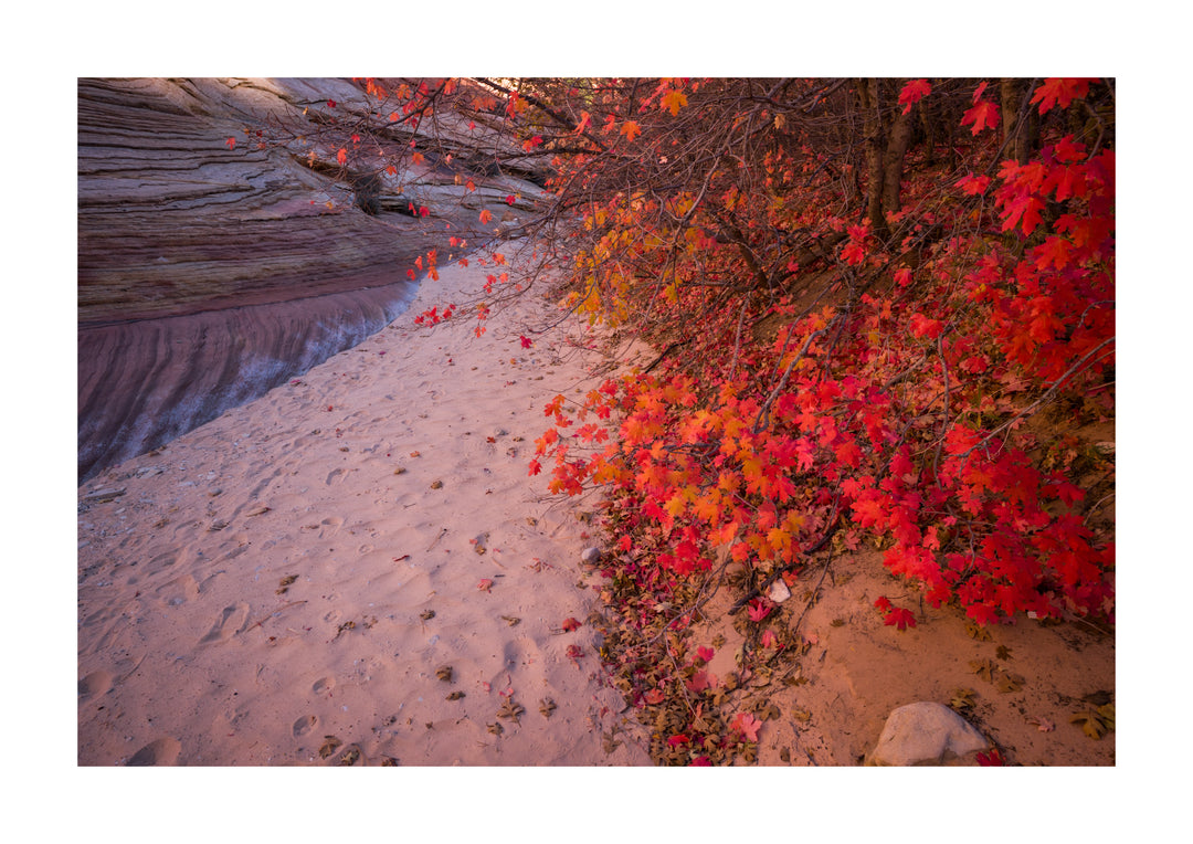 Zion Nationaal Park - 1