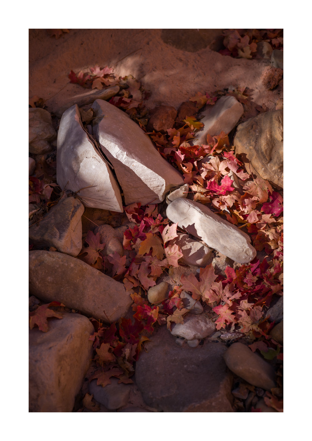 Zion Nationaal Park - 1