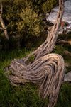 Flinders Island Photography Workshop - June 10th to 14th - 2024 - 3 Places Available
