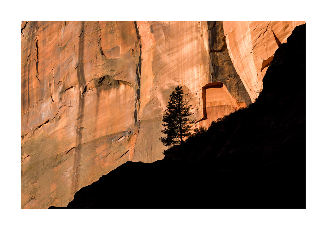 Zion Nationaal Park - 1