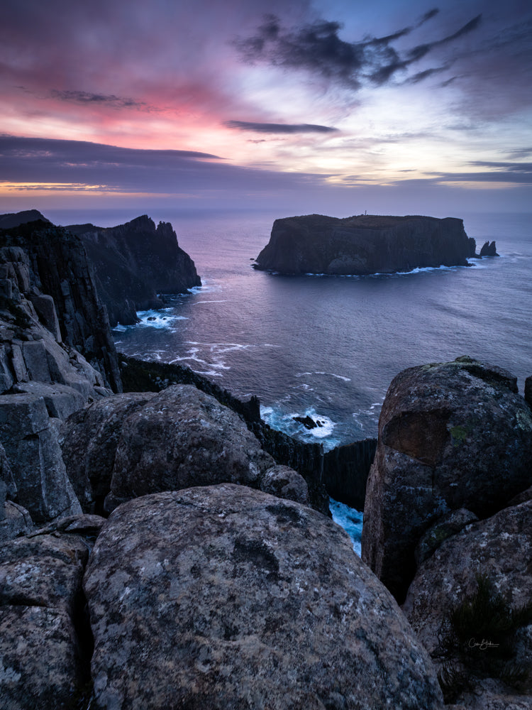 Purple Haze on Tasman