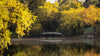 Daylesford Autumn PhotoDay - May 10th - 2024 - 1 Place Left!!