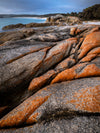 Bay of Fires OM Digital Day - February 24th & 25th - 2 Places Available