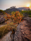 Kakadu National Park Photo Tour - December 1st to 5th 2024 - 3 Places Left!!!