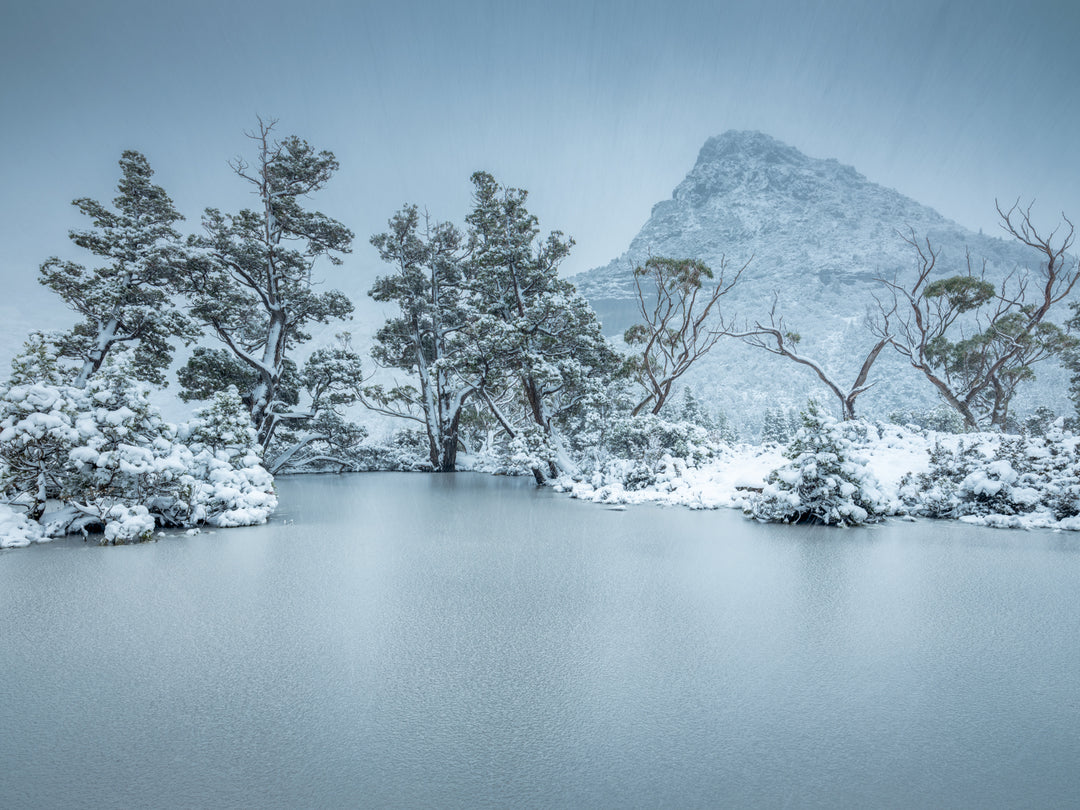 Sneeuwstormen van Cradle
