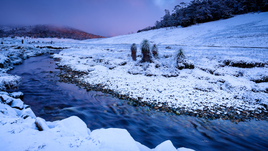 Stromende sneeuwstromen