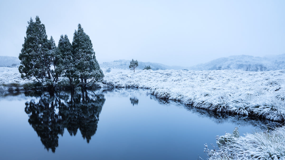 Twin Pine Tarns