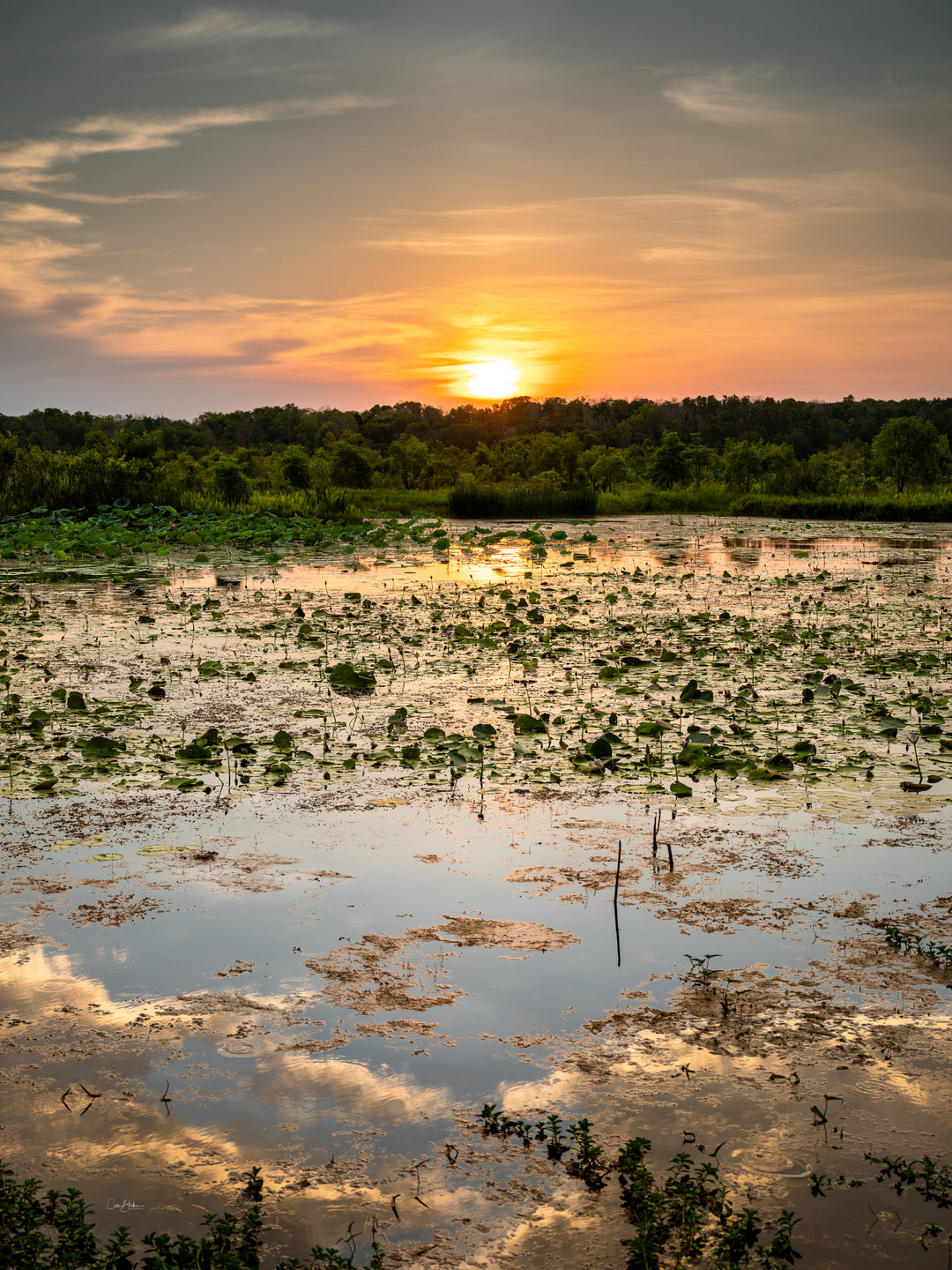 Lagune zonsondergangen