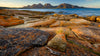 East Coast Tasmania Photo Tour - August 19th to 24th 2022 - SOLD OUT!!!