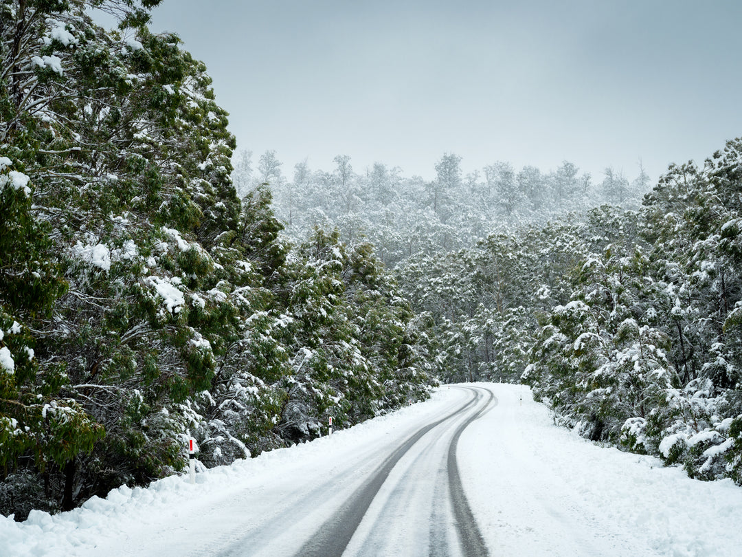 Snowing Travels