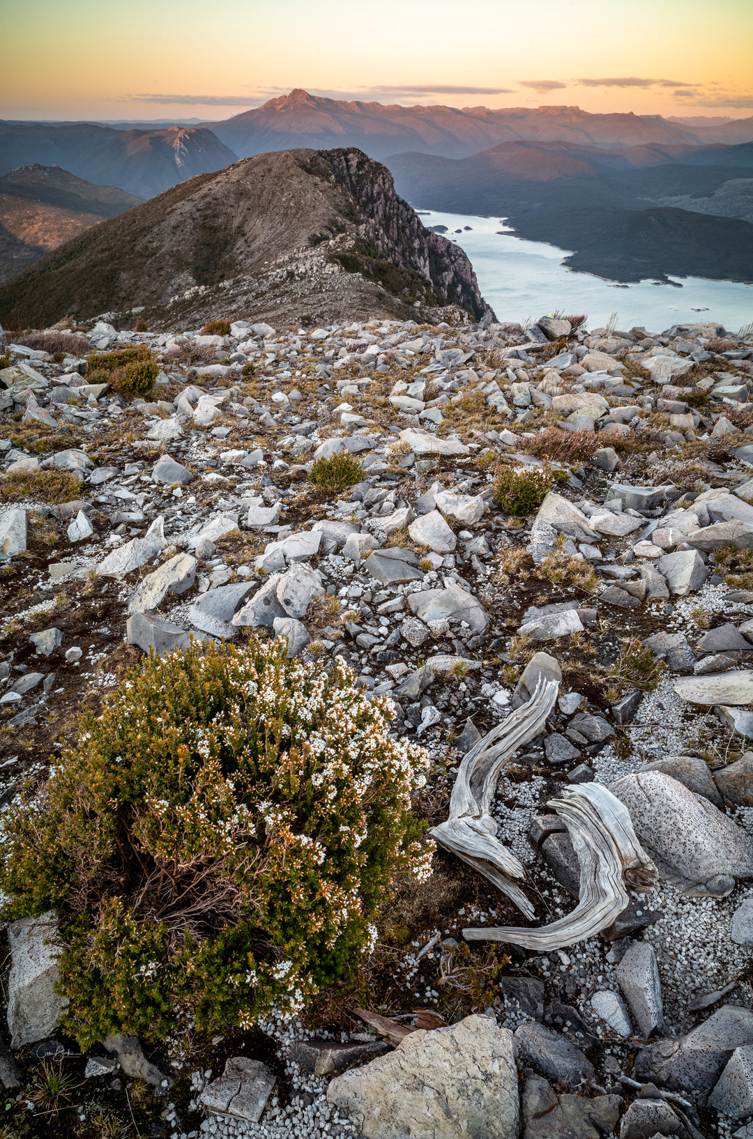 Drift Wood Mountains