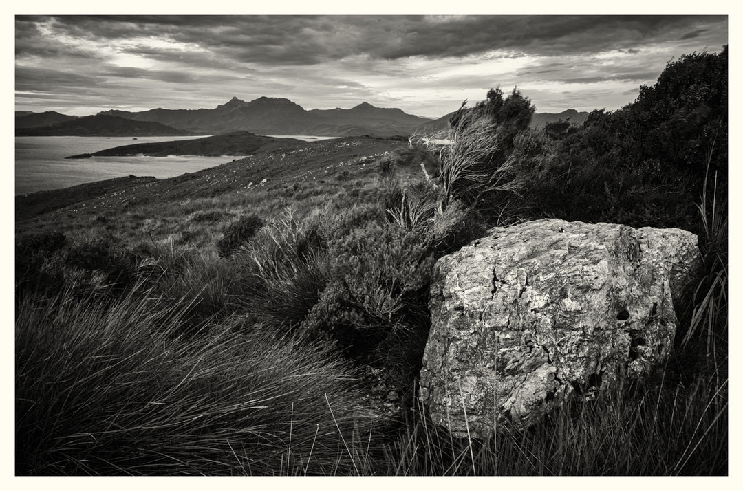 Mono Mount Anne