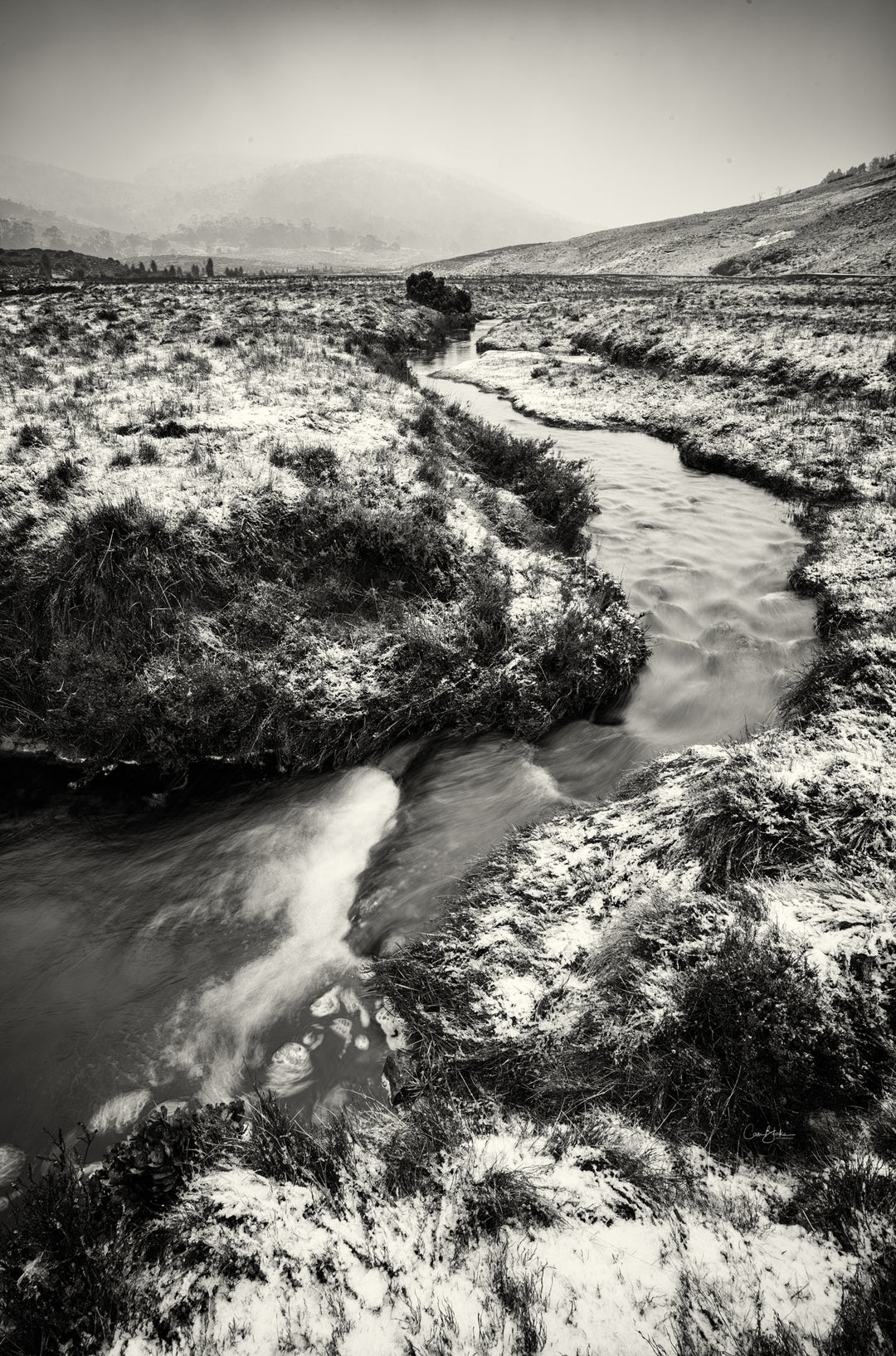 Ronny Creek Winter