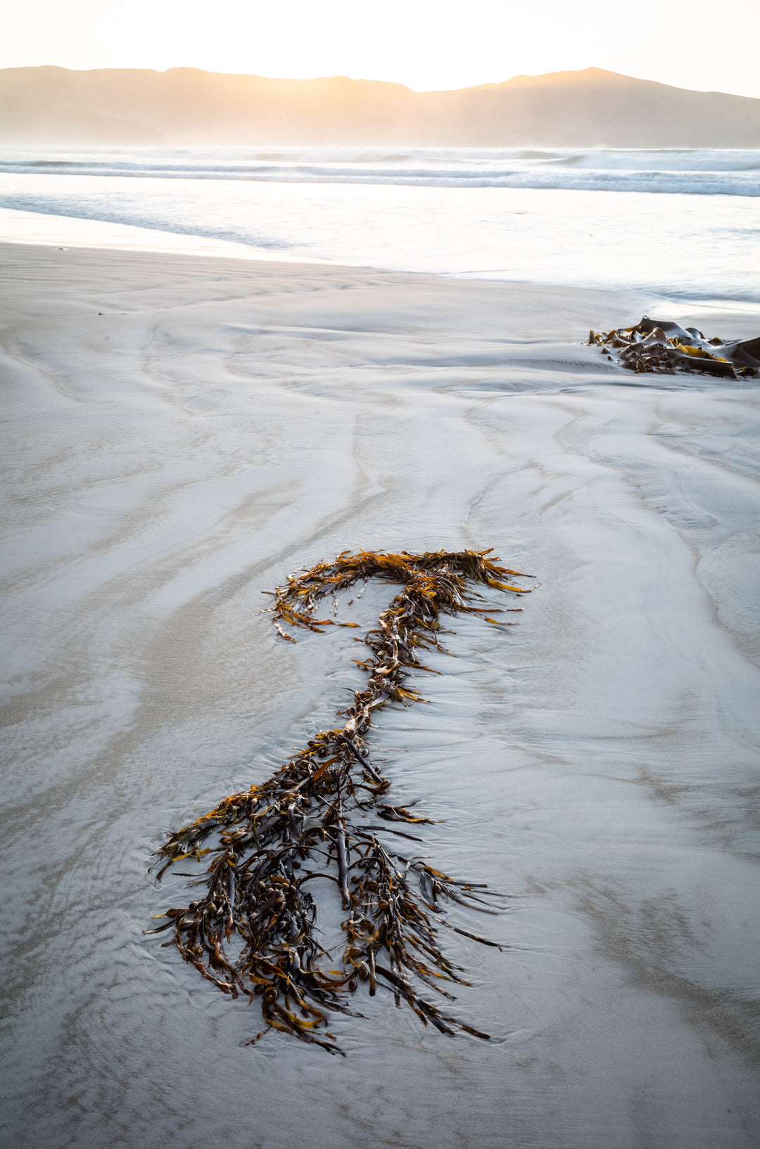 Verdraaide zeeën