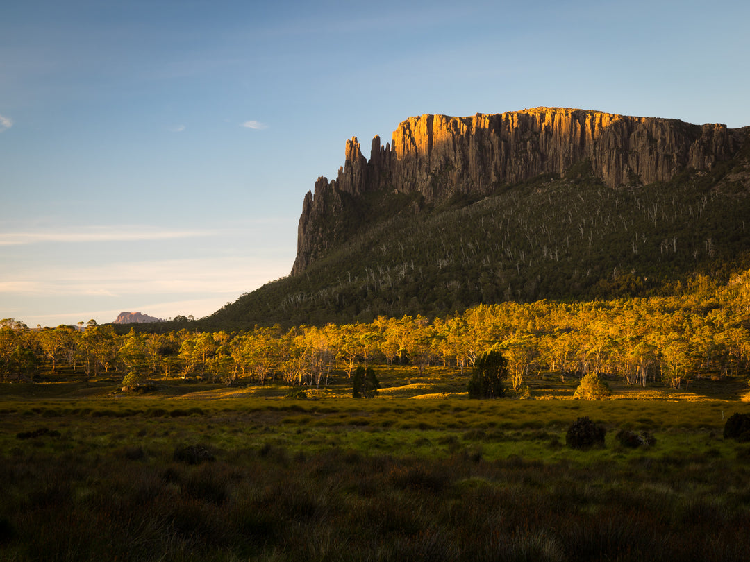 Mount Oakleigh-licht