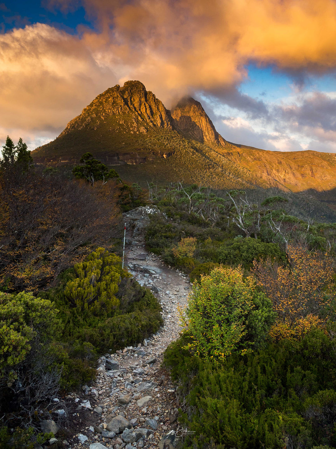Cradle Pathways