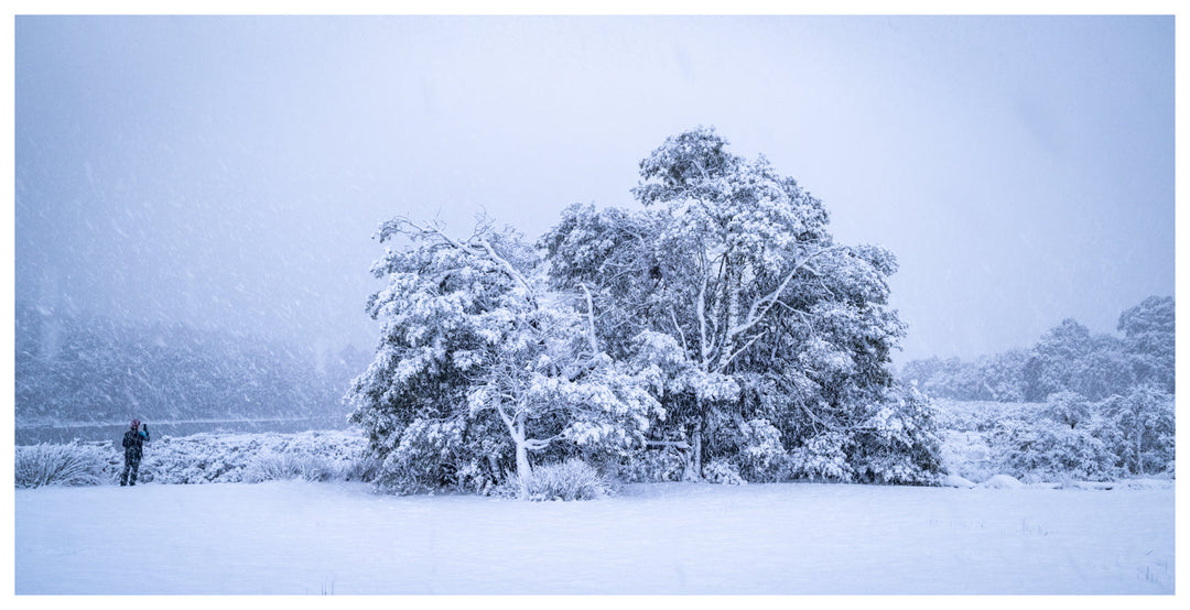 Chasing Snow Across Tasmania – A Winter Day Trip from Hobart to Queenstown