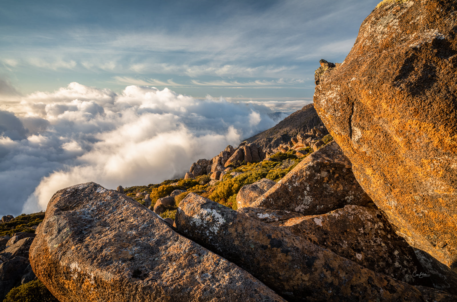 KUNANYI / MT WELLINGTON Cam Blake Photography