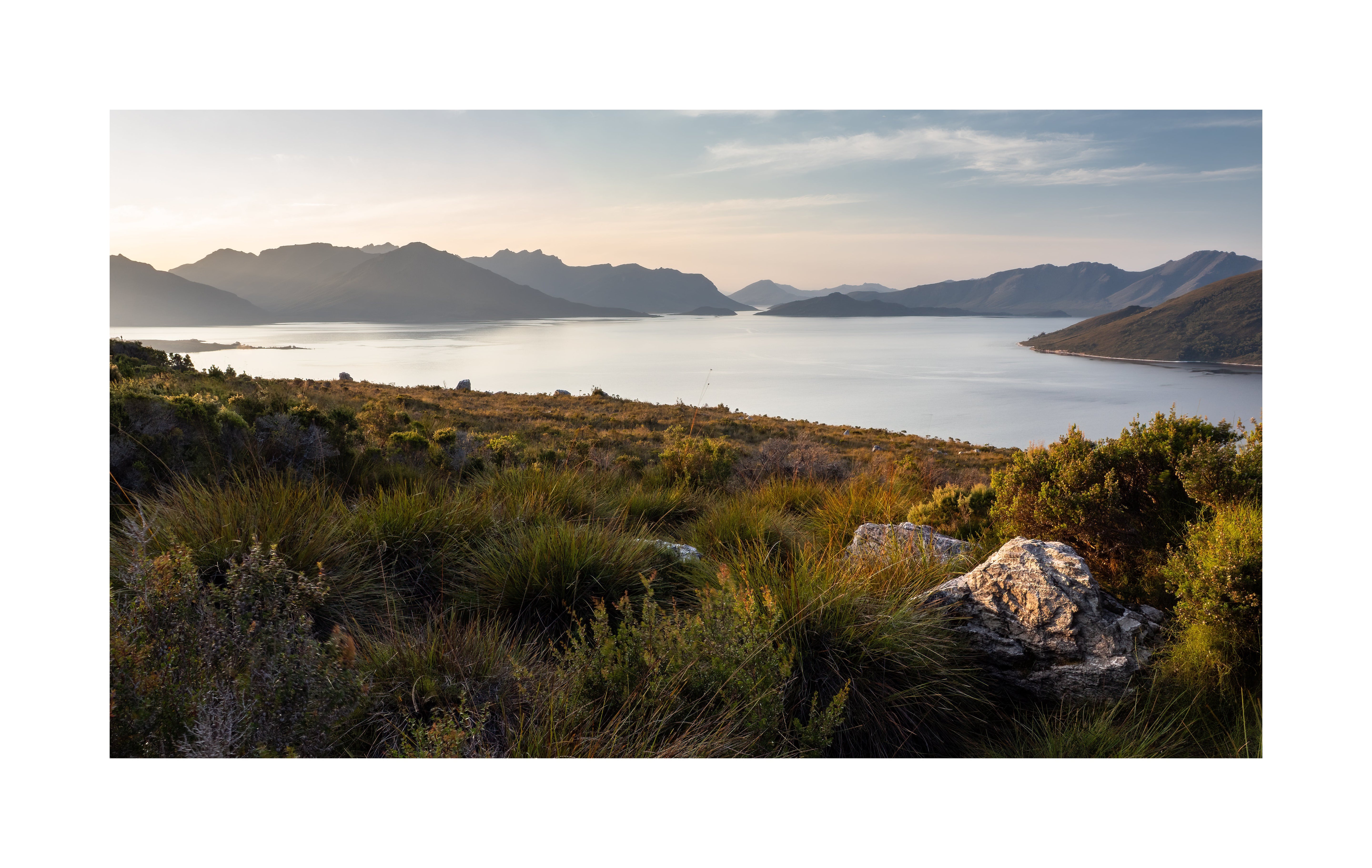 TASMANIAN PRINTS