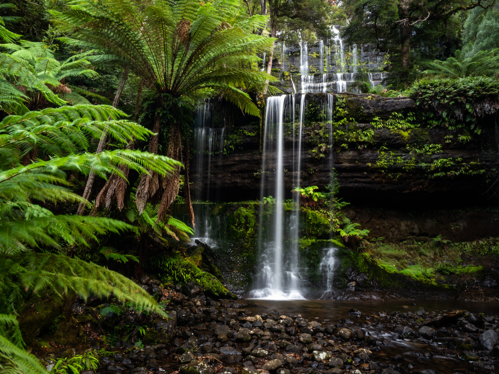 MOUNT FIELD NATIONAL PARK