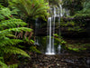 MOUNT FIELD NATIONAL PARK