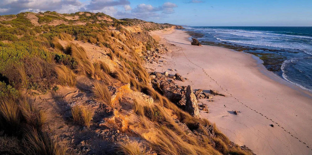 Point Nepean - Cape Schanck OM Digital Day - 28th January - 2024 - SOLD OUT!!