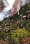 Zion National Park &amp; ​​UTAH, VS - Fotografieworkshop - 7 tot 17 november - 2024 - UITVERKOCHT!!