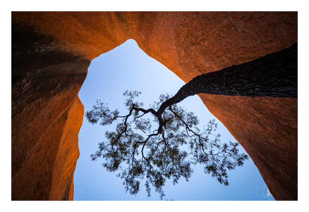 Red Centre Photography Tour - Uluru/Kata Tjuta and MacDonnell Ranges and Surrounds - May 11th to 15th - 4 Places Left!!