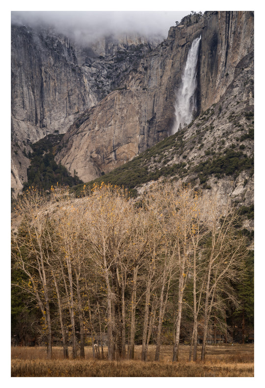Winter in Yosemite Photo Tour January 5th to 15th 2029 - 5 Places Only!!!
