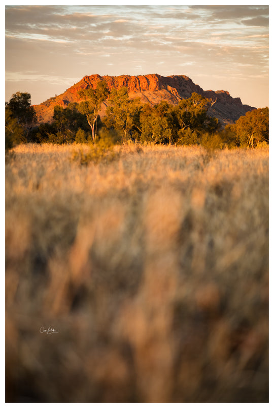 Red Centre Photography Tour - Uluru/Kata Tjuta and MacDonnell Ranges and Surrounds - May 11th to 15th - 4 Places Left!!