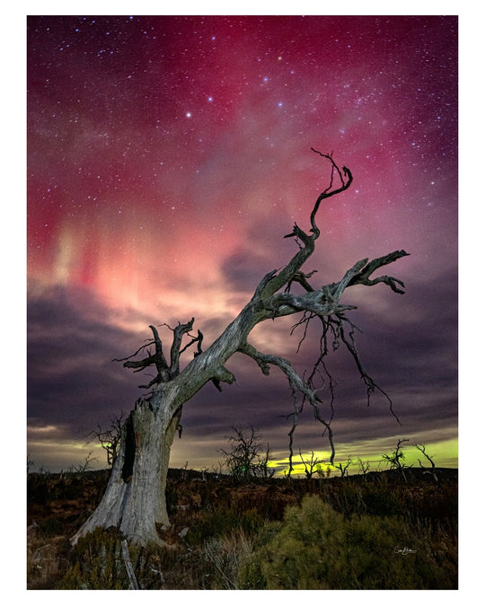 Tasmania Astrophotography Workshop August 27th to 31st - 2026 6 Places Only