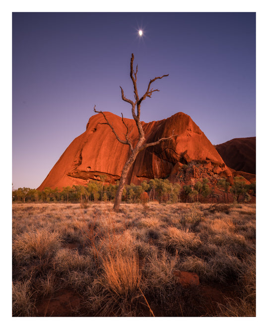 Red Centre Photography Tour - Uluru/Kata Tjuta and MacDonnell Ranges and Surrounds - May 11th to 15th - 4 Places Left!!