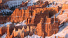 Zion National Park & UTAH, USA - Photography Workshop - November 7th to 17th - 2024 - SOLD OUT!!