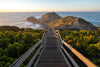 Point Nepean- Cape Schanck OM Digitale Dag - 20 januari - 2024 - UITVERKOCHT!!