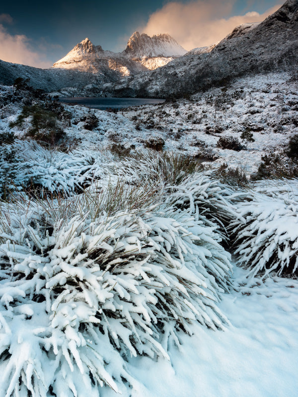 Cradle Mt Winter Photography Workshop - August 10th to 14th - 2026 - 6 Places Available