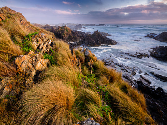 Tarkine to Cradle Autumn Mt Workshop - 12 tot 18 april - 2024 - UITVERKOCHT!! 