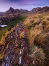 Tarkine Wilderness Photography Workshop - May 26th to 30th - 2025 - 6 Places Available