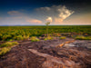 Kakadu National Park Fototour - 1 tot 5 december 2024 - slechts 6 plaatsen!!! 