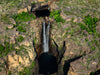 Kakadu National Park Fototour - 1 tot 5 december 2024 - slechts 6 plaatsen!!! 