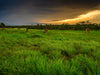 Kakadu National Park Fototour - 1 tot 5 december 2024 - slechts 6 plaatsen!!! 