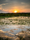 Kakadu National Park Fototour - 1 tot 5 december 2024 - slechts 6 plaatsen!!! 