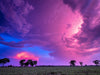 Kakadu National Park Fototour - 1 tot 5 december 2024 - slechts 6 plaatsen!!! 