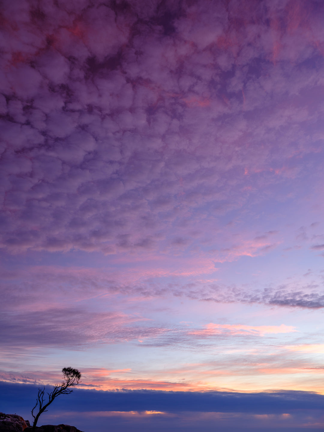 Tasmania: Magical Photography Tour - September 11th to 18th - 2027 - 6 PLACES AVAILABLE