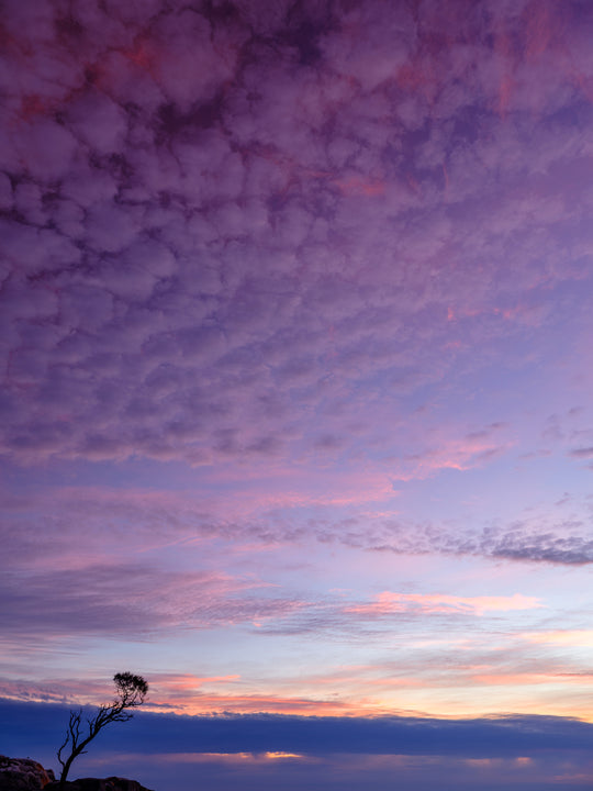 Tasmania: Magical Photography Tour - September 11th to 18th - 2027 - 6 PLACES AVAILABLE