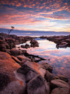 Bay of Fires OM Digital Day - February 24th & 25th - 2 Places Available