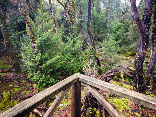 Cradle Mt Winter Photography Workshop - August 10th to 14th - 2026 - 6 Places Available
