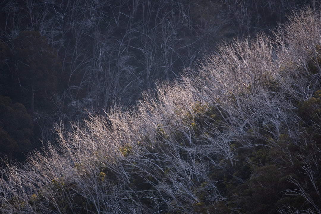 Winter High Country Photo Tour - 9-14th August 2027 - SOLD OUT!!!