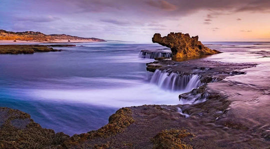 Point Nepean - Cape Schanck OM Digital Day - 28th January - 2024 - SOLD OUT!!