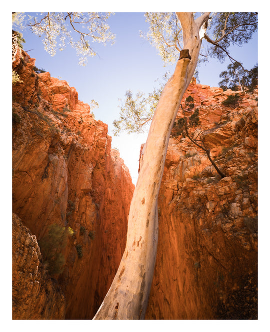 Red Centre Photography Tour - Uluru/Kata Tjuta and MacDonnell Ranges and Surrounds - May 11th to 15th - 4 Places Left!!
